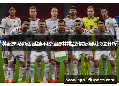 英超黑马能否延续不败佳绩并挑战传统强队地位分析 英超黑马能否延续不败佳绩并挑战传统强队地位分析